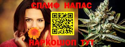 мдпв Пушкино