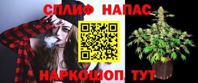 мдпв Пушкино
