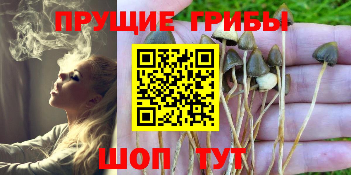 Сертолово  Галлюциногенные грибы ЛСД  Псилоцибиновые грибы Psilocybine cubensis  Вход с VPN 